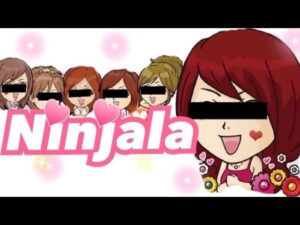 ニンジャラ　テスト