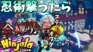 両スティックが狂ってる男【ニンジャラ Ninjala】