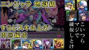 【#パズドラ】確保推奨!! ニンジャラ地獄級 スキル上げ 【#周回編成】