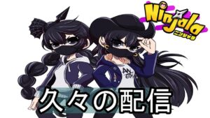 【ニンジャラ/Ninjala】久々にやろうか【野良チムラン】