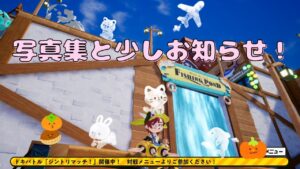 ニンジャラの写真集と少しお知らせ！((お久しぶりですm(*_ _)m