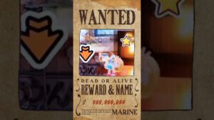 懸賞金999,999,999¥ #ニンジャラ #編集練習中