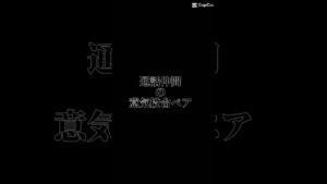 やってみた買ったやつ！Part2#ニンジャラ#テンプレート